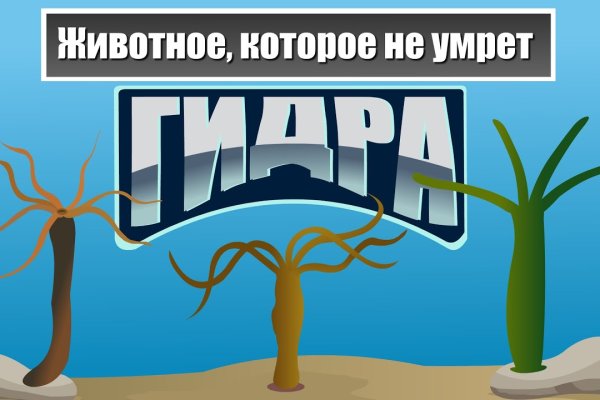 Омг телега